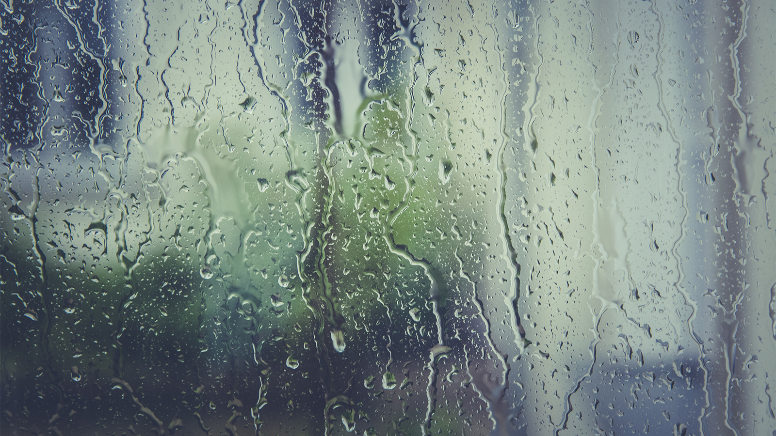 Se vino la lluvia después de largos días de sequía en la región.