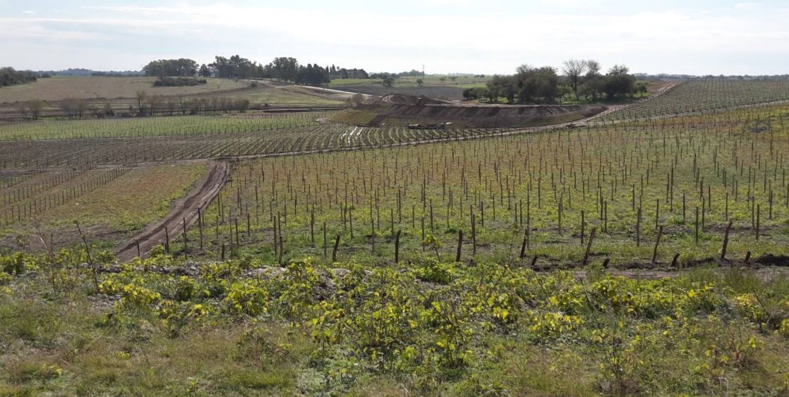 BordeRío, una escapada de Pascuas exquisita y al aire libre