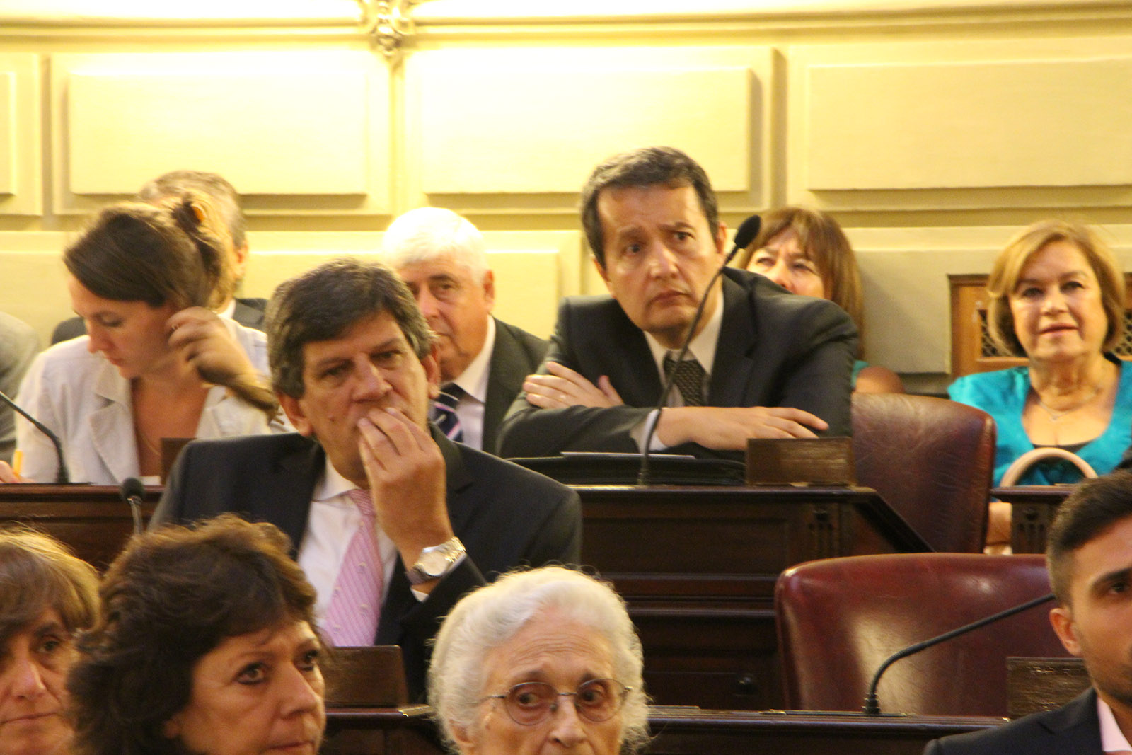 Del Frade, en la Legislatura (Ariel Maione-RosarioPlus).