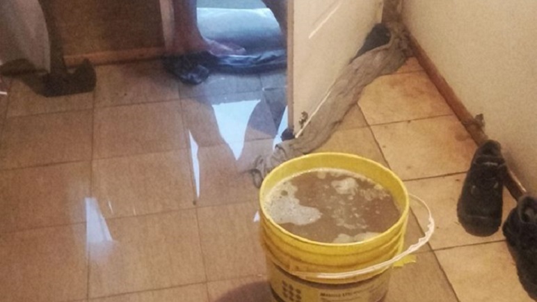 El agua dentro de los domicilios de Zavalla.