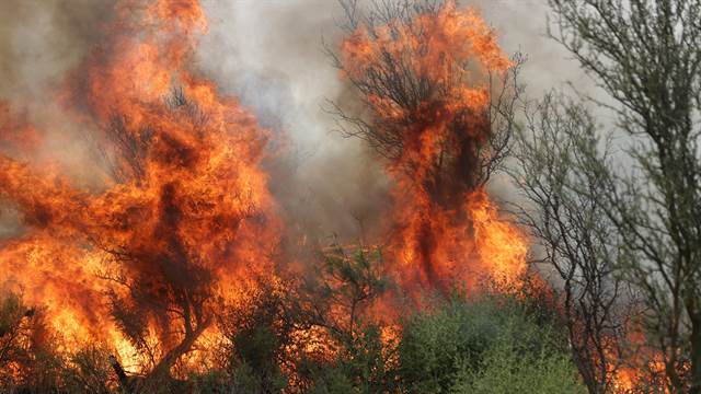 Incendios forestales: declararon la emergencia en Mendoza