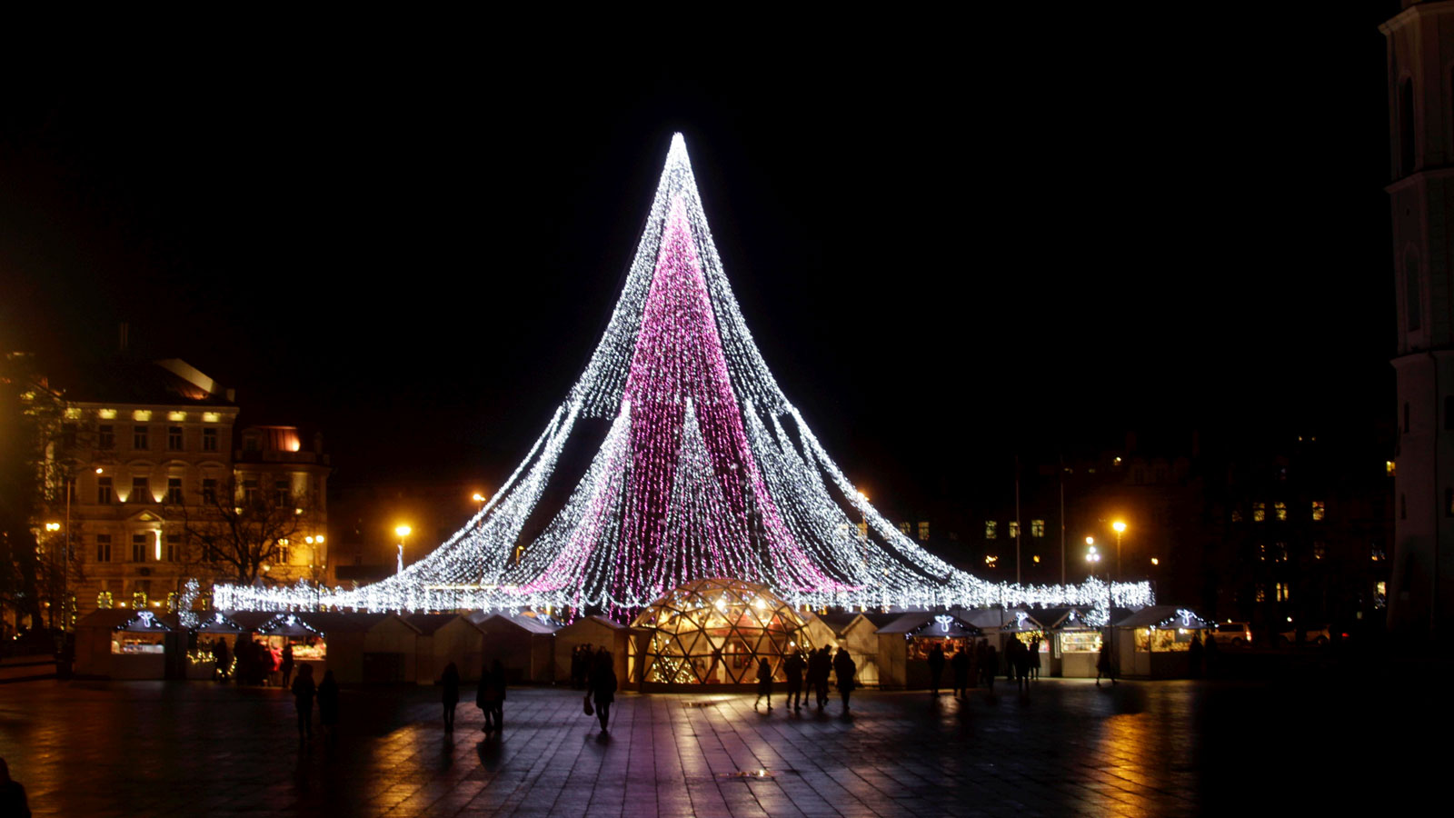 El árbol está ubicado en la plaza de la Catedral de la ciudad (EFE)