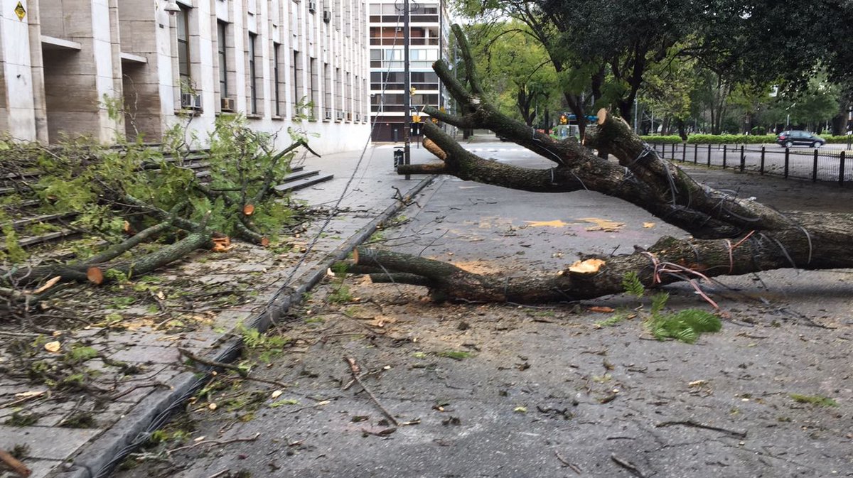 Hacia el final del día estarían solucionadas la mayoría de las demandas. (Foto: @BombVolRosario )