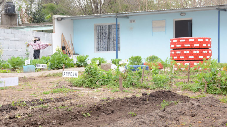 La nueva planta de alimentos se inauguró este viernes en Bigand.