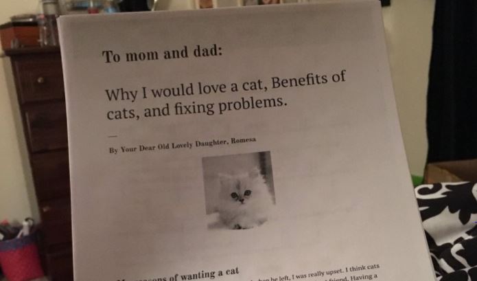 Vale todo para tener un gatito en casa.