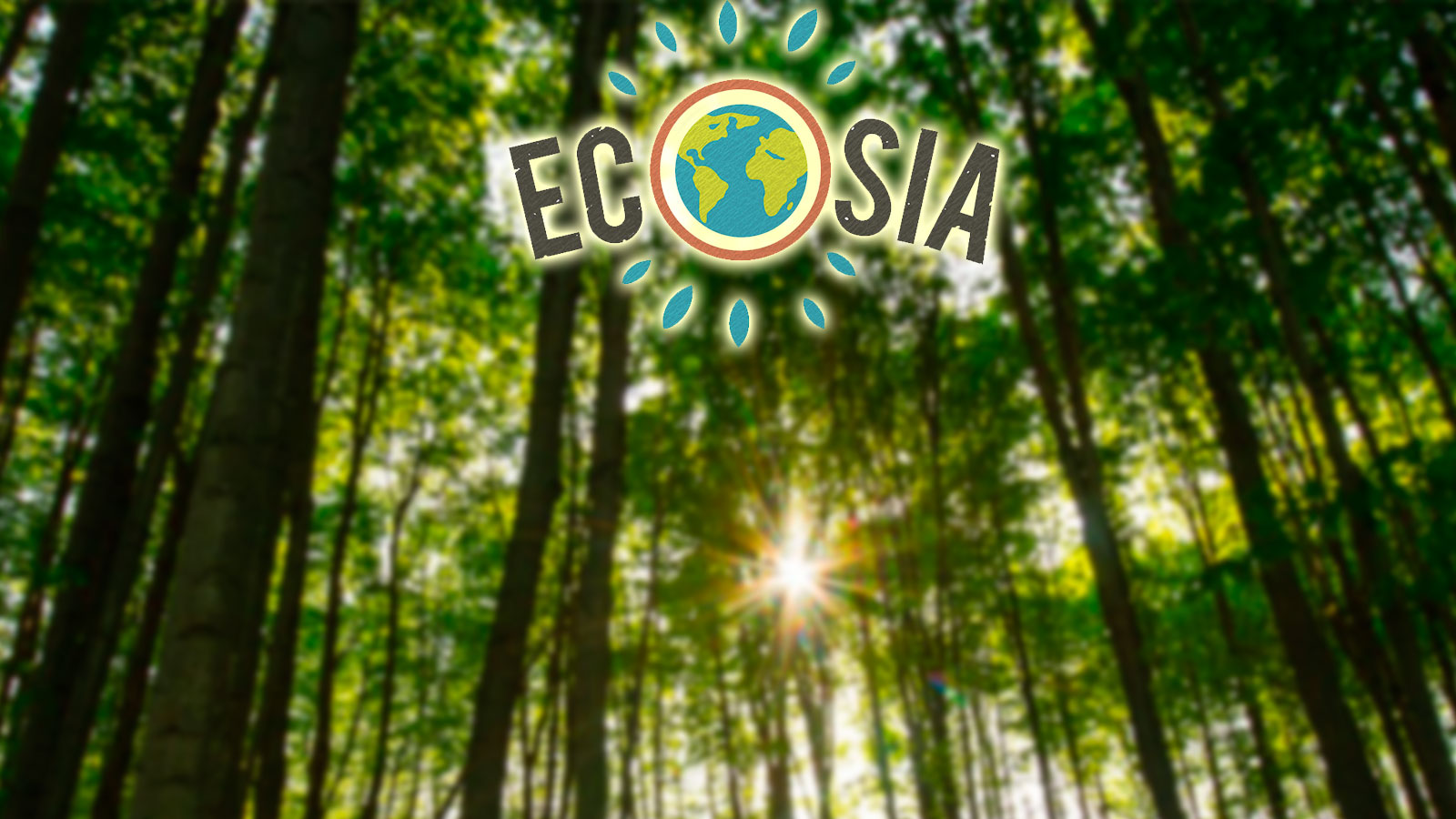 Conocé al buscador web que ayuda al medio ambiente