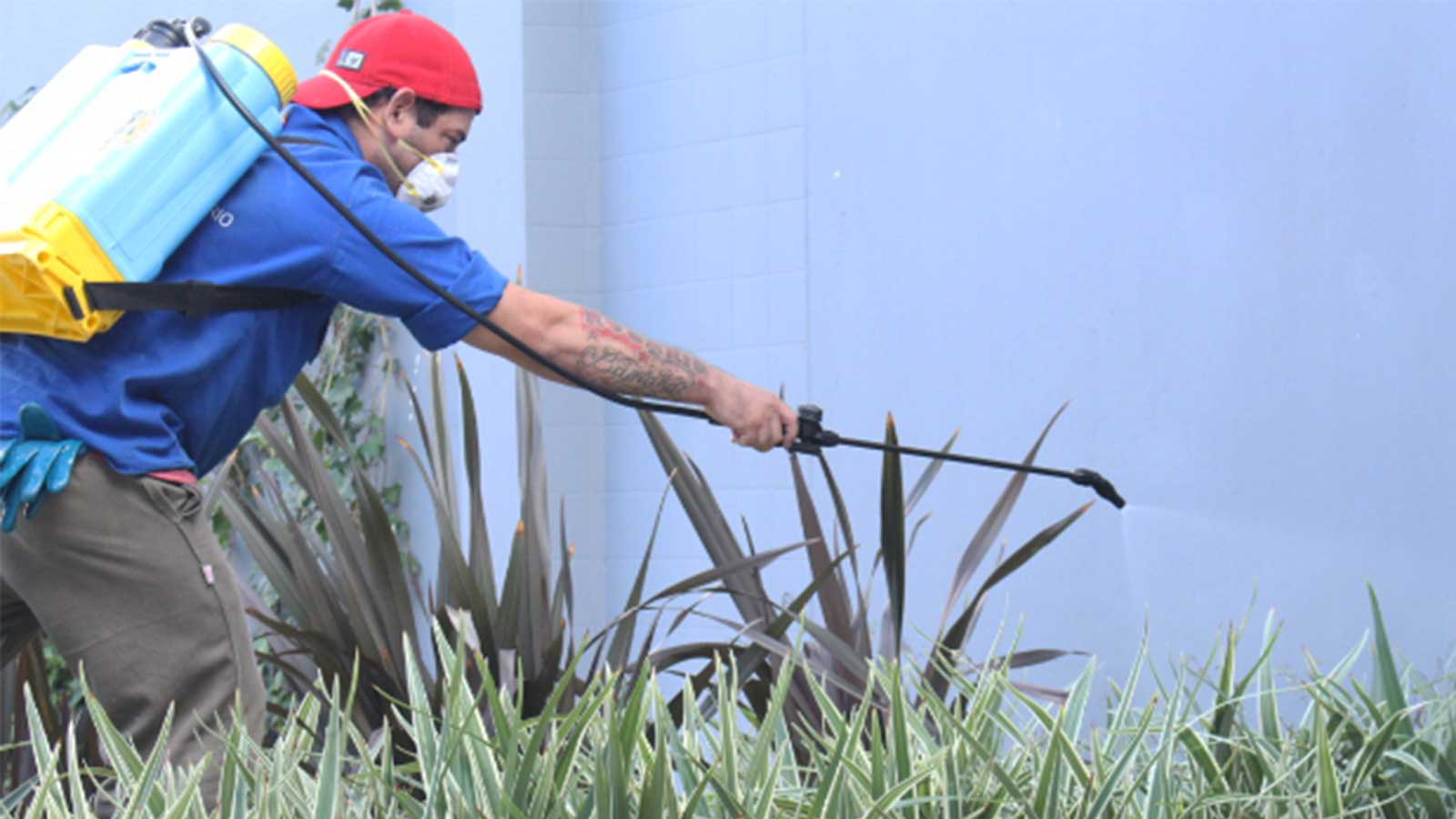 La cuadrilla de salud municipal fumigó en las instalaciones de Rosario Plus.