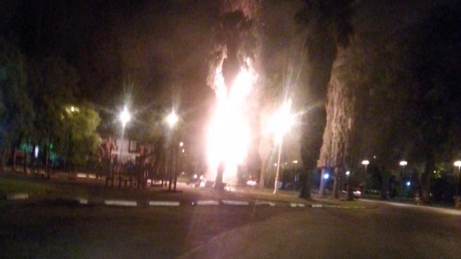 El árbol quedó desintegrado. (Foto: @JoseljuarezJOSE )