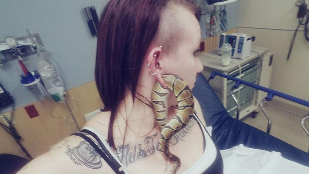 Una serpiente metida en el lugar más insospechado