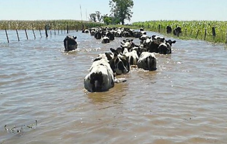 El exceso de lluvias saturó la escasa capacidad de absorción del suelo.