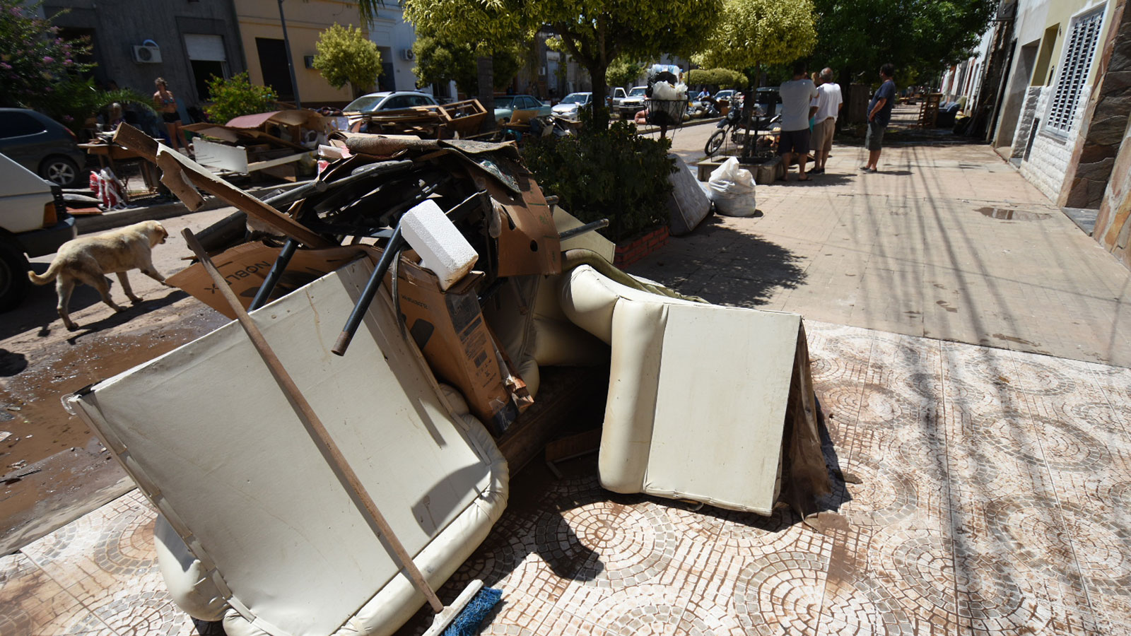 Volver a empezar, el día después de la inundación en Emilia.