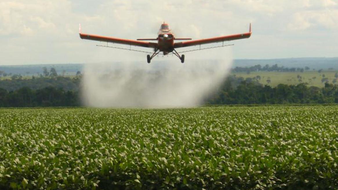 El ministro de Salud rechazó el informe del médico que investigó a Monsanto