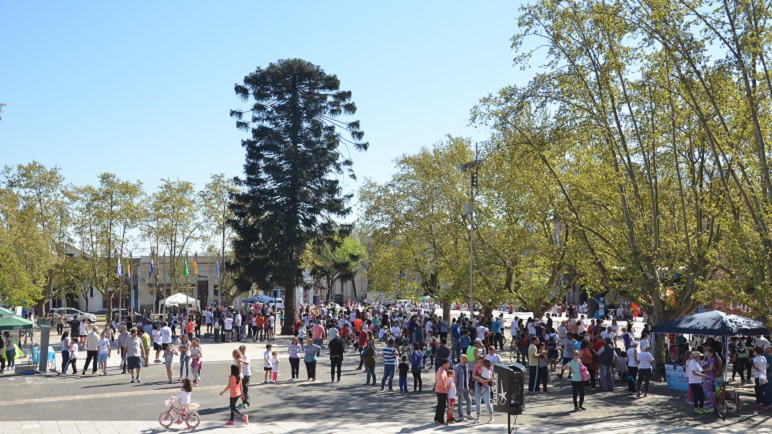 Las mejores imágenes de la Maratón Ciudad de Casilda.