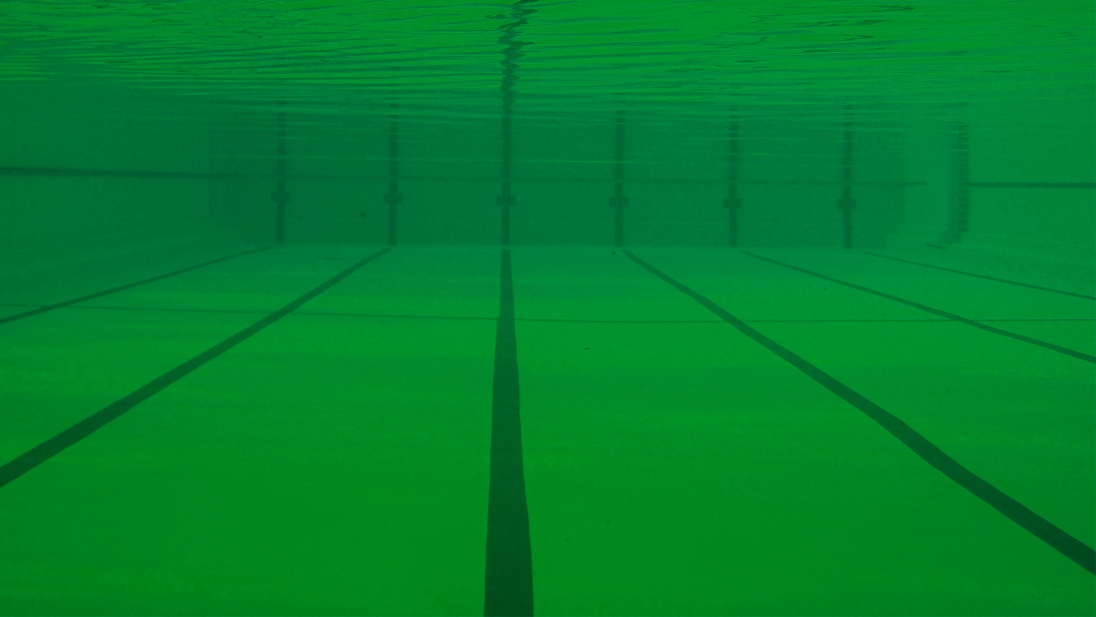 Piletas problemáticas: agua  verde y un desnudo involuntario