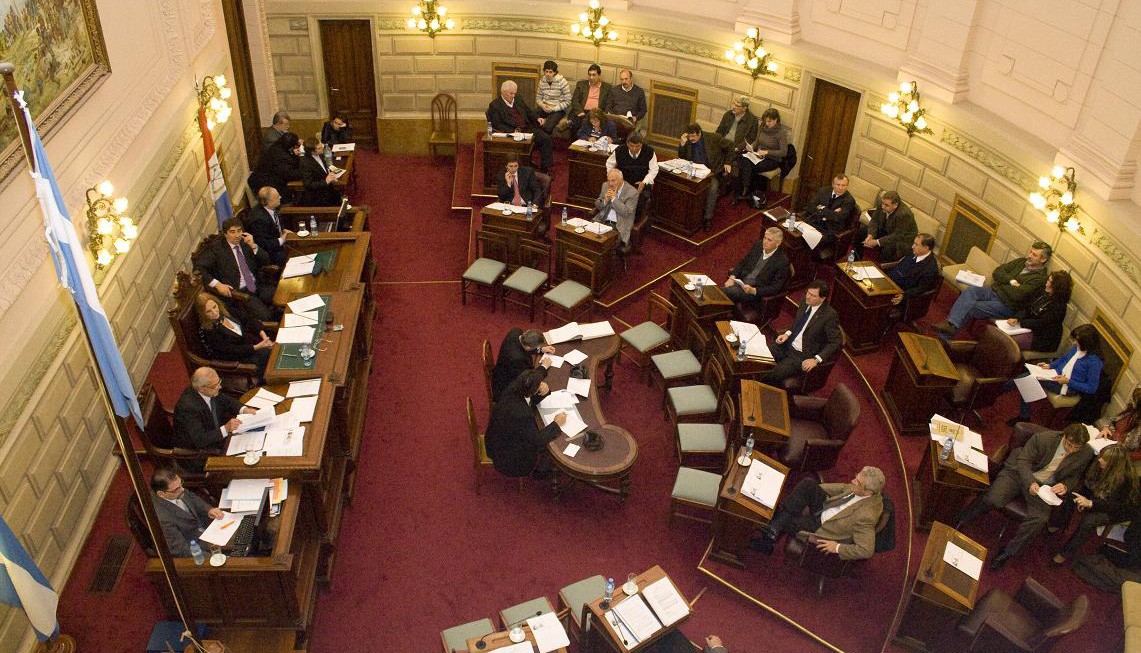 Grave denuncia sobre subsidios en el Senado