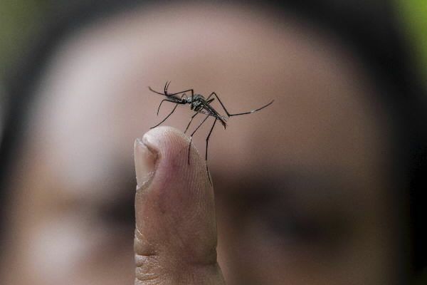 Piden que los insumos lleguen pronto, para evitar complicaciones.