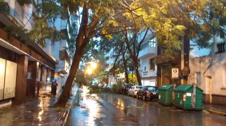 Viento, rayos y centellas, Batman