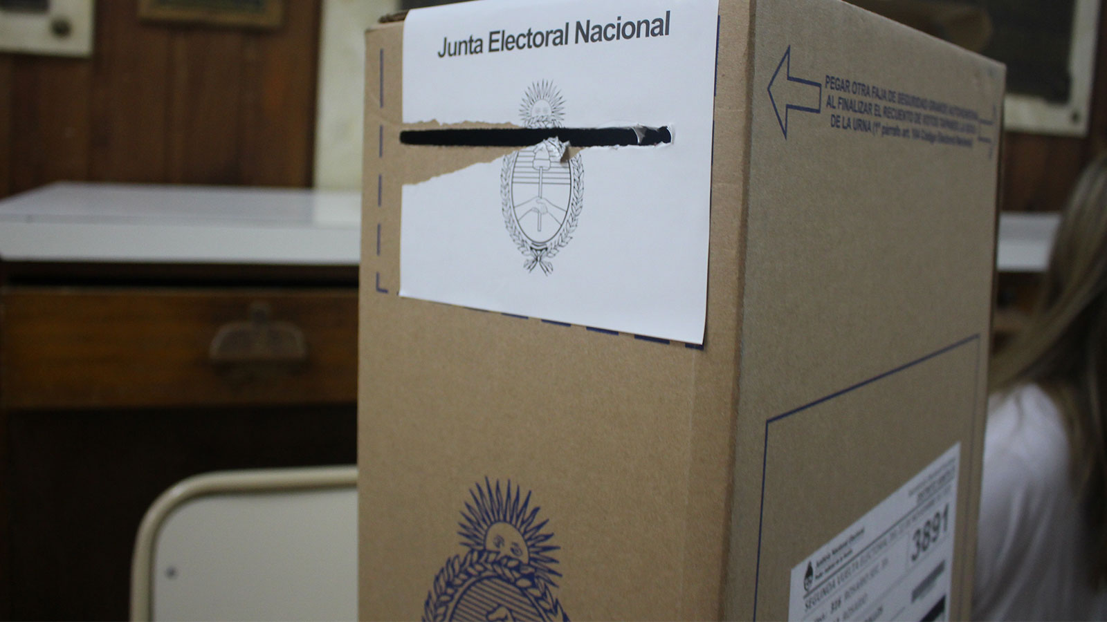 ¿Qué, cómo y dónde se vota este domingo?