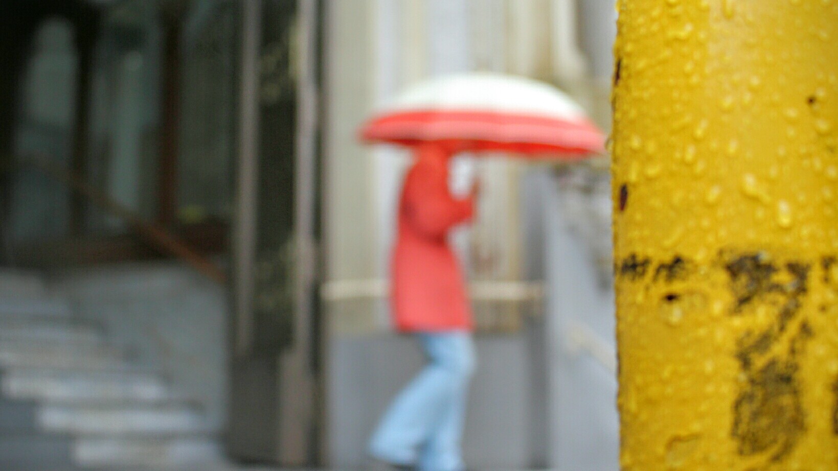 La lluvia no aguó las ganas de votar