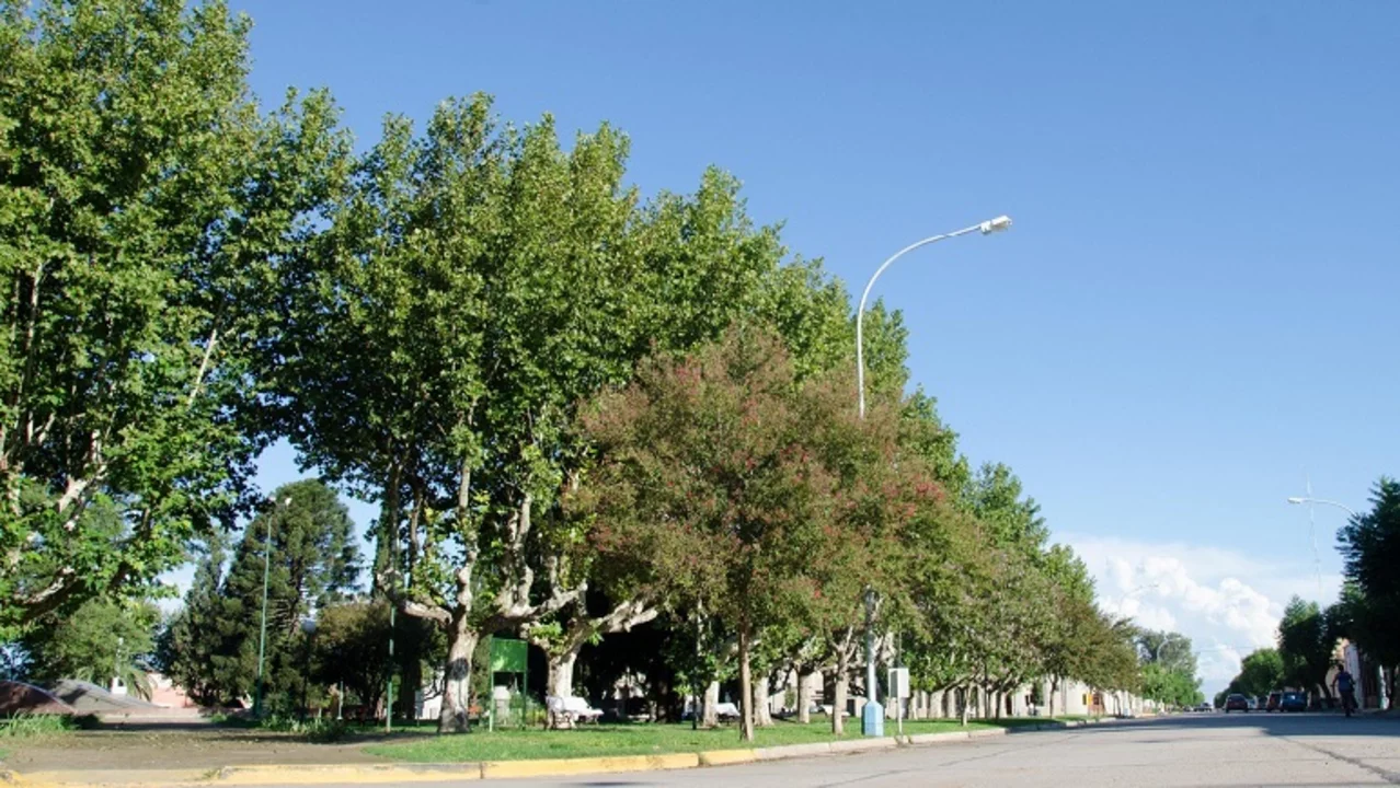 Antes de fin de año podría haber una respuesta al proyecto de Arequito ciudad.