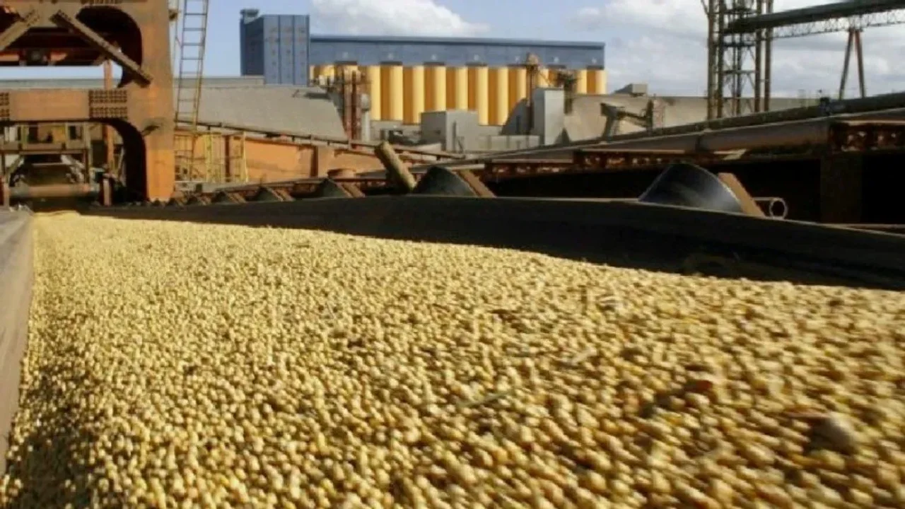 El precio de la soja subió $200 y cerró a $26.540 la tonelada en Rosario