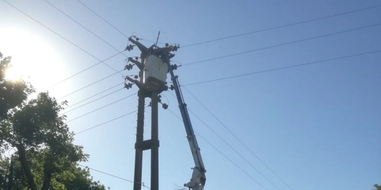 ¿Por qué una paloma pueda dejar sin luz a varios sectores de la ciudad?