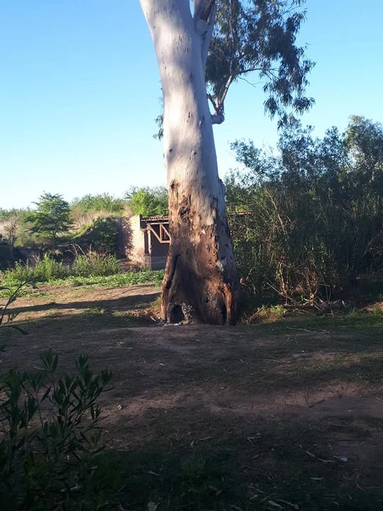 Más río, menos basura: un grupo de la ciudad comprometido con el cuidado ambiental