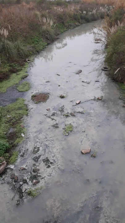 Plancich presentó un importante proyecto sobre el impacto ambiental de empresas.