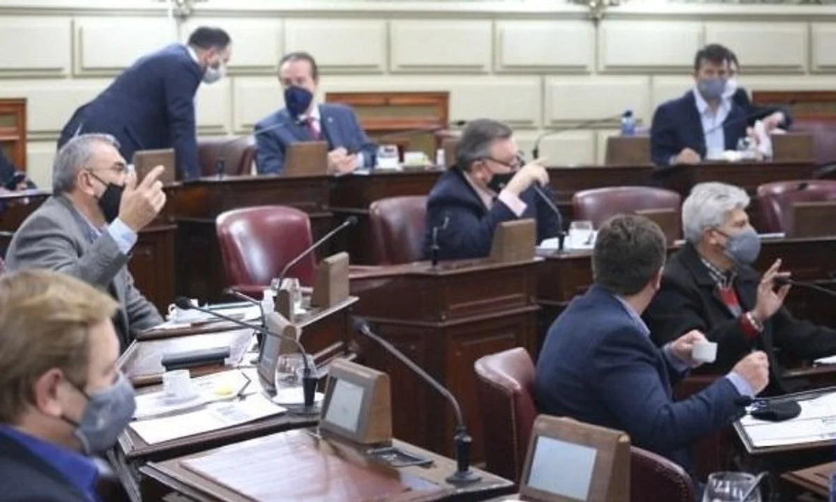 El Senado le dio luz verde al Presupuesto, pero podó una iniciativa de Perotti