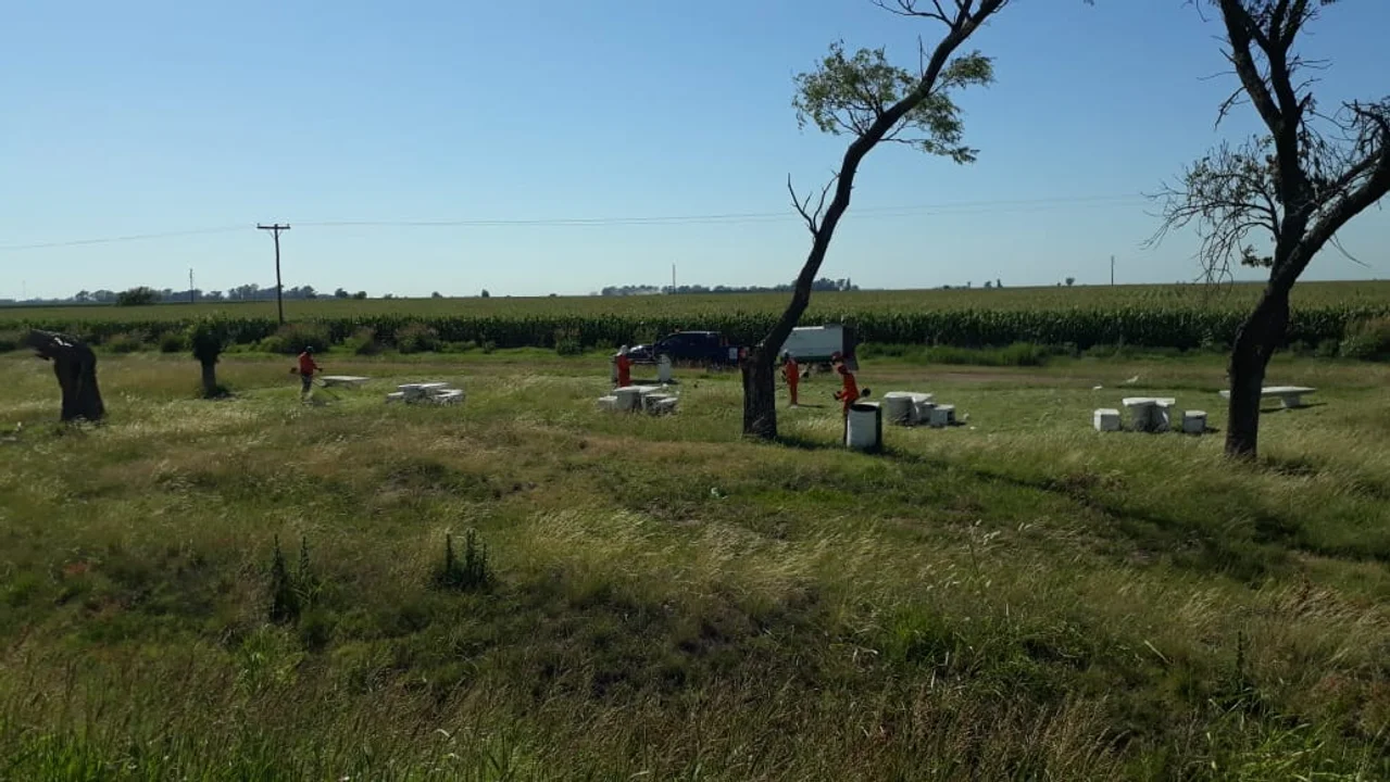 Vialidad Nacional comenzó a desmalezar banquinas en Ruta 33