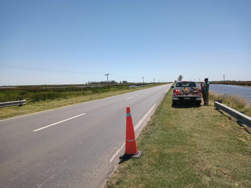 Vialidad Nacional comenzó a desmalezar banquinas en Ruta 33