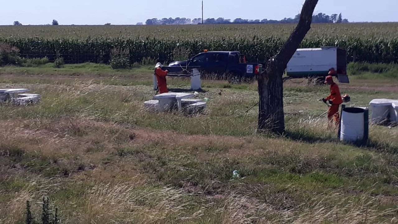 Vialidad Nacional comenzó a desmalezar banquinas en Ruta 33