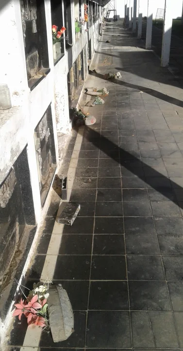 Robos y destrozos en el cementerio de Sanford