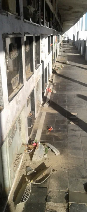 Robos y destrozos en el cementerio de Sanford