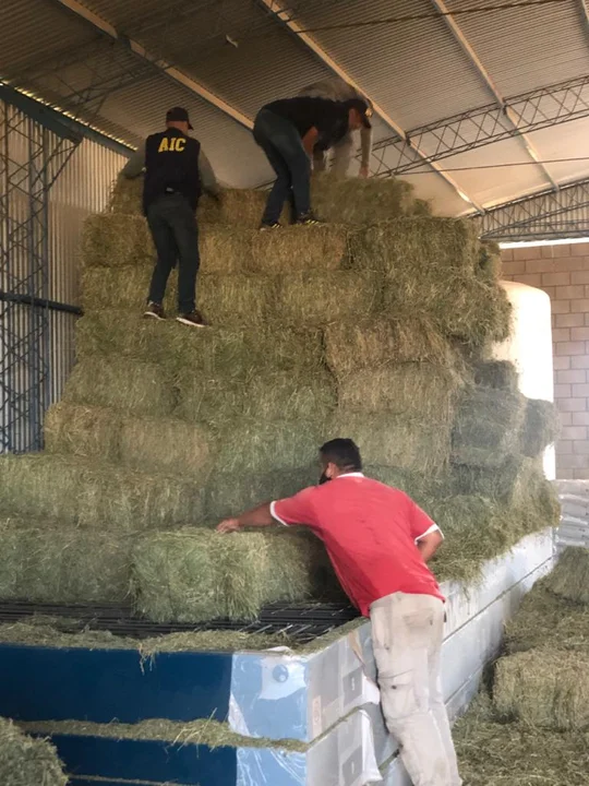 Una empresa local vendió una báscula y los estafaron: la A.I.C. la recuperó