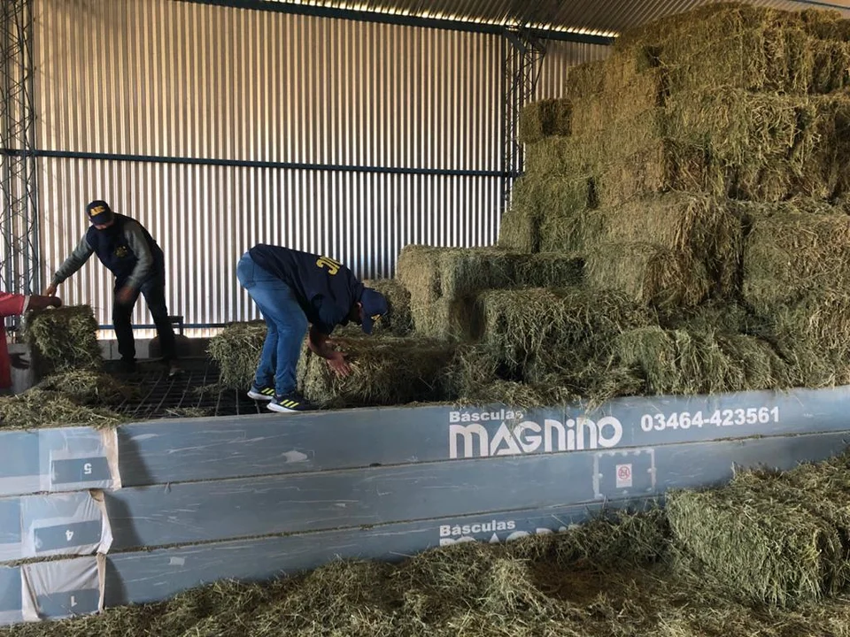Una empresa local vendió una báscula y los estafaron: la A.I.C. la recuperó