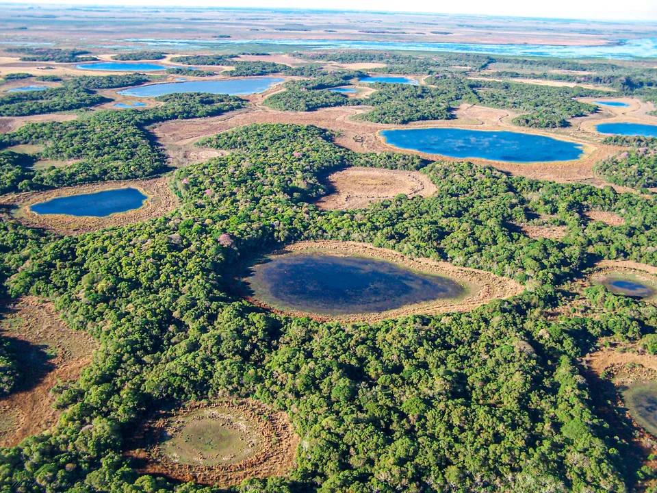 El INTA proyecta herramientas para el uso agroindustrial sostenible de los humedales.