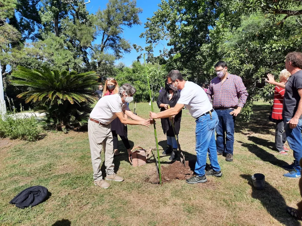 Continúa la plantación de árboles por la Semana de la Memoria