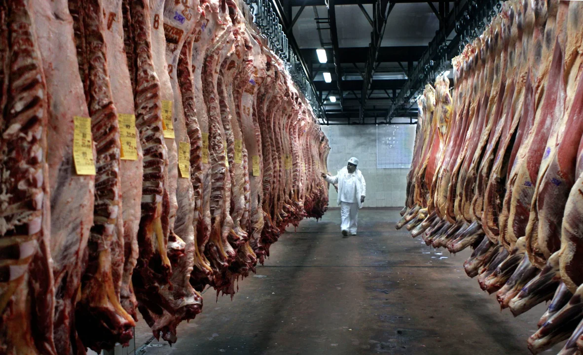 Exportación de carne: el 90% de los grandes frigoríficos evade impuestos