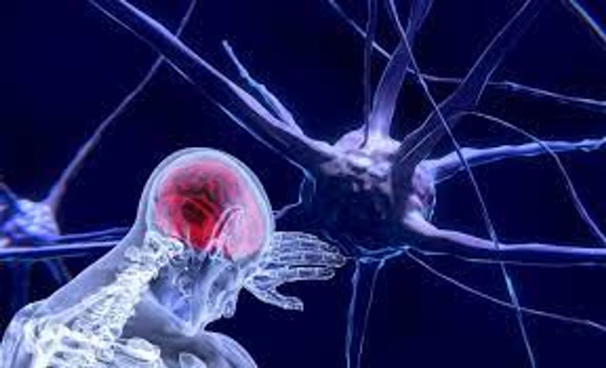 ¿Para qué sirve el dolor? Una alarma invisible, pero esencial