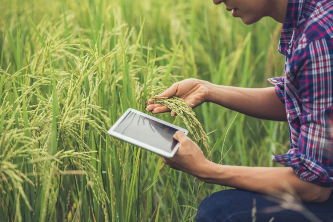 La tecnología aplicada al agro convierte a la Argentina en potencia regional