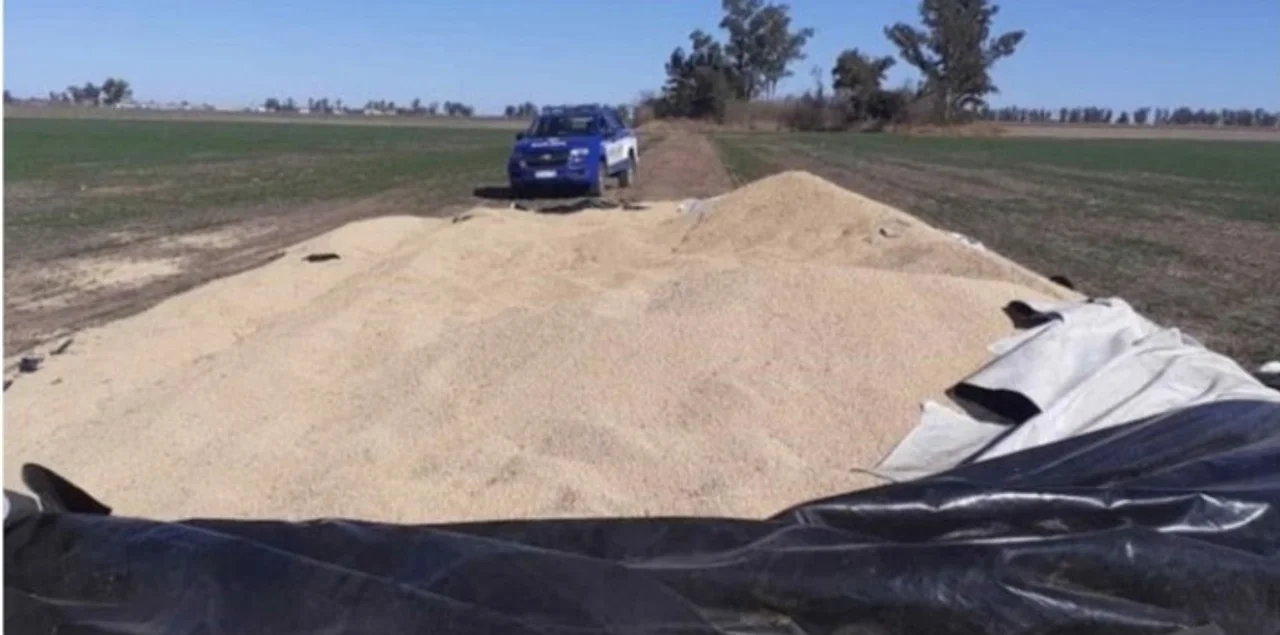 Vandalizaron un silo bolsa y se robaron siete toneladas de soja