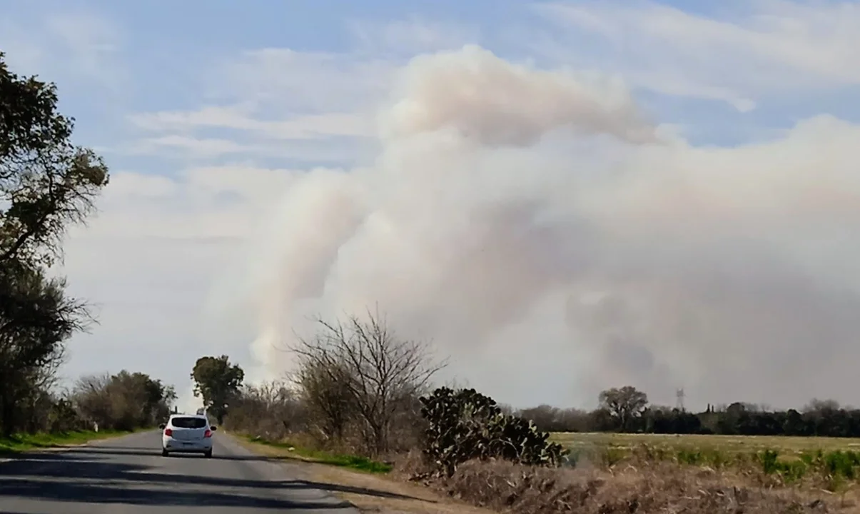 Alerta en Santa Fe por los incendios de la isla frente a San Nicolás