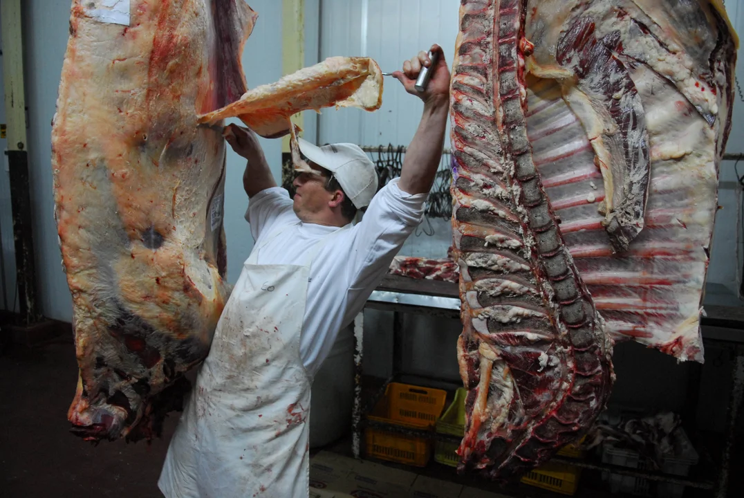 El Presidente aseguró que el tope a la exportación de carne permitió la baja de precios