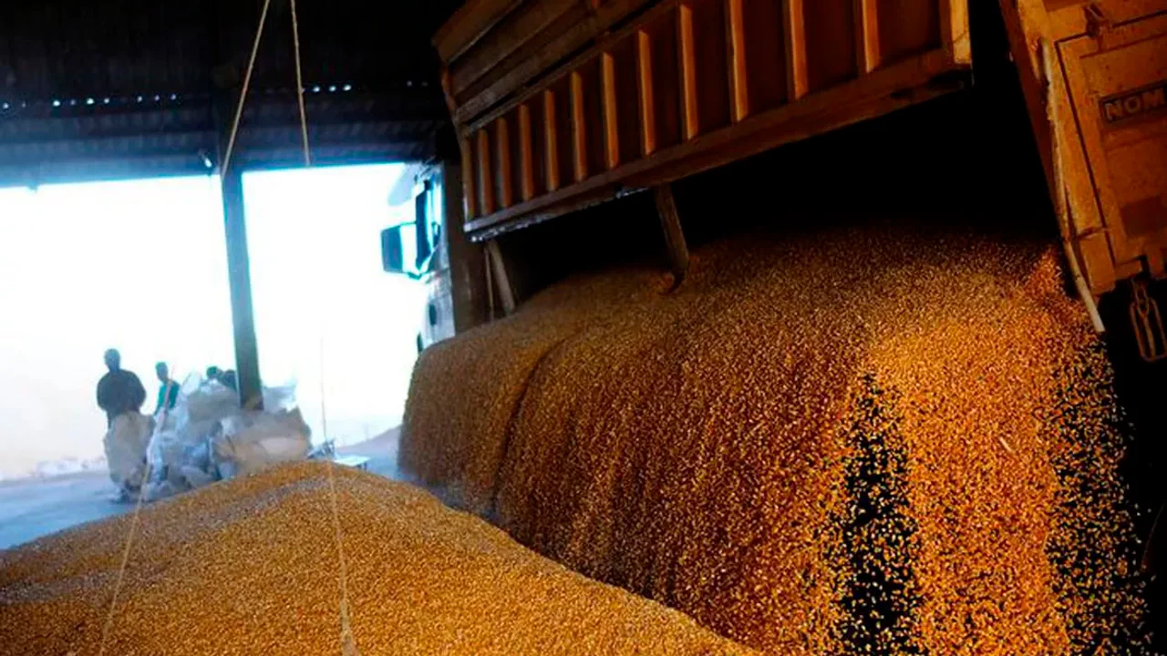 La AFIP desarticuló la comercialización ilegal de 1.637 toneladas de cereales