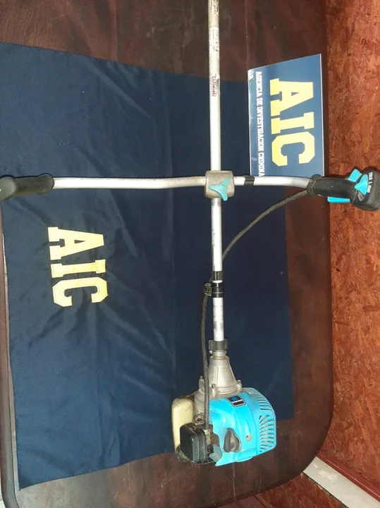 Muchos elementos recuperados por la AIC.
