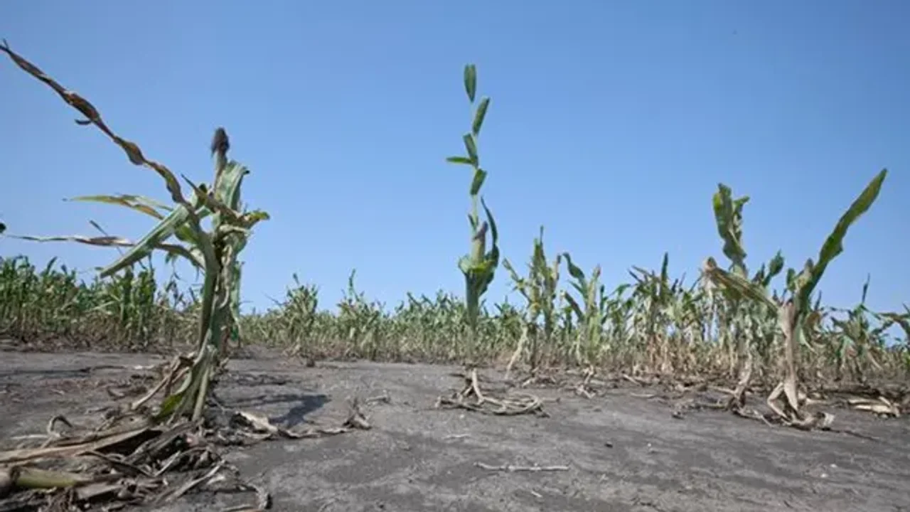 Extendieron los plazos de la Emergencia Agropecuaria