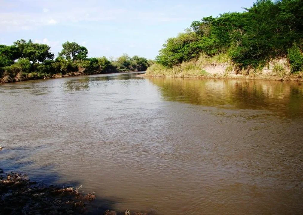 Autorizan la caza en el área natural protegida Río Carcarañá