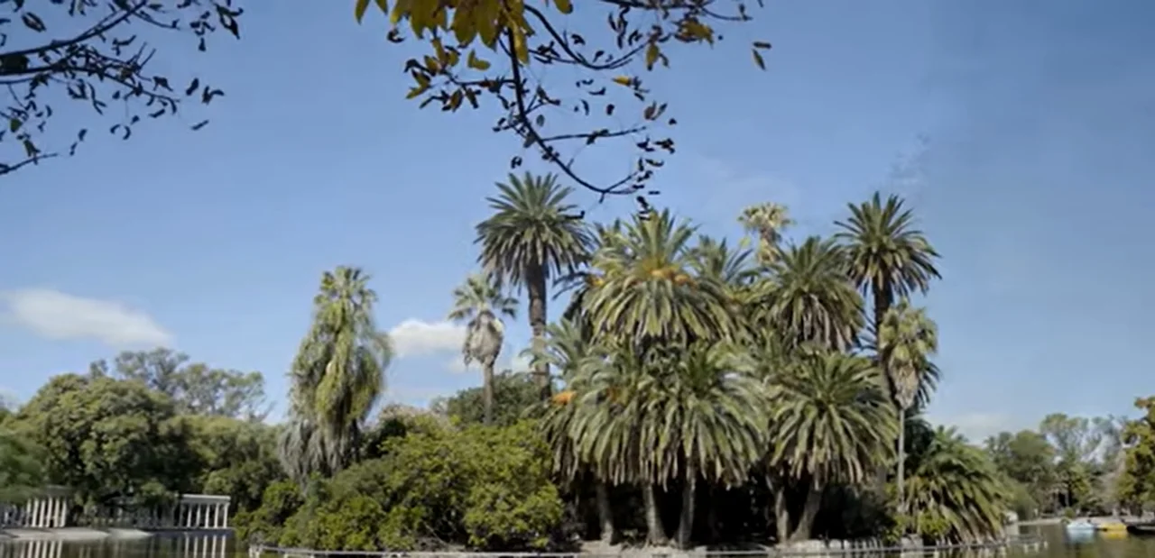 Presentaron un recorrido para conocer la variedad de árboles en El Laguito