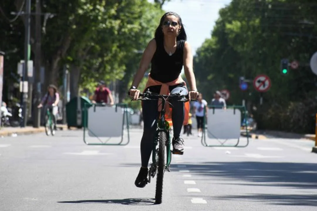 Calle Recreativa: actividades para todos los gustos para este domingo